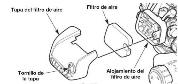 Tapa del filtro de aire Filtro de aire Tornillo de la tapa Alojamiento del filtro de aire Fig. 20