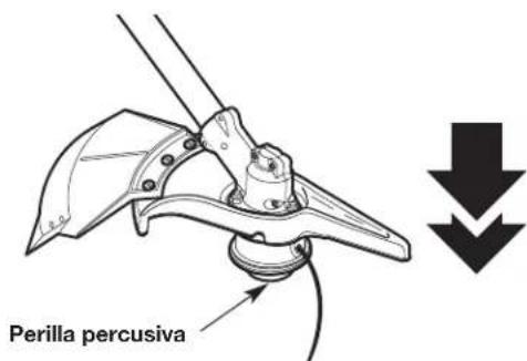 Perilla percusiva
