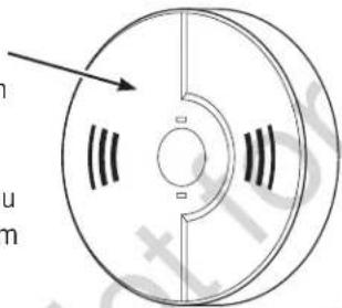 Craftsman CMXGGAS030729 - Carbon Monoxide Alarm(s) - 1
