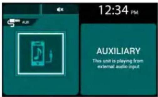 12:34 PM AUXILIARY This unit is playing from external audio input