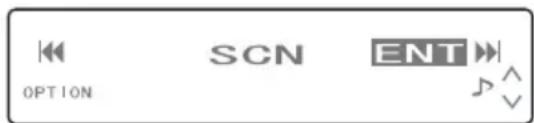 OPTION SCN ENT