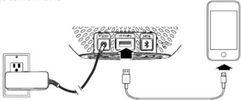 Diagram showing connections between a power outlet, connected to a device with labeled ports and cables, including 'USB power' and 'USB charging'.