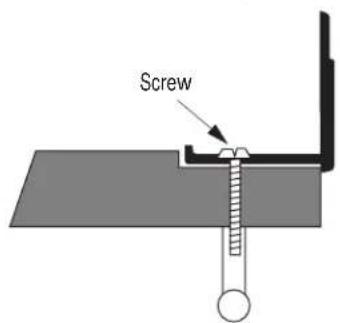 Screw