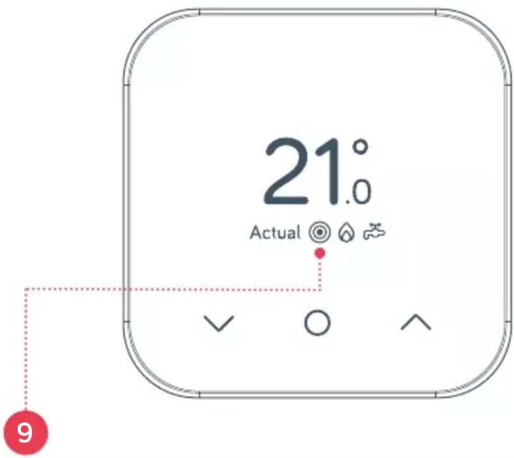 21° Actual 9