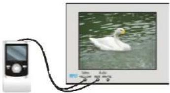 Digital photo showing a white swan floating on water next to a digital display with an external device (no visible text or symbols)