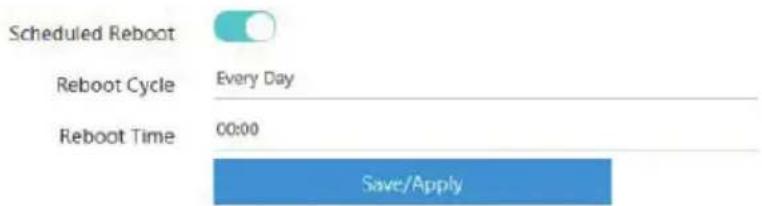 Scheduled Reboot Reboot Cycle Every Day Reboot Time 00:00 Save/Apply