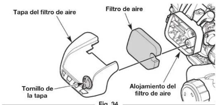 Tapa del filtro de aire Filtro de aire Tornillo de la tapa Alojamiento del filtro de aire Fig. 34