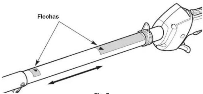 Flechas Fig. 7