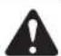 TROY-BILT TB4620C XP - STARTING INSTRUCTIONS - 1