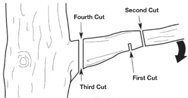 Fourth Cut Second Cut Third Cut First Cut
