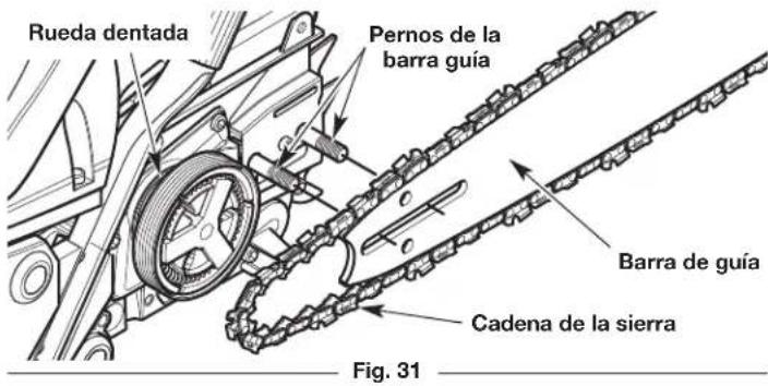 Rueda dentada Pernos de la barra guía Barra de guía Cadena de la sierra Fig. 31