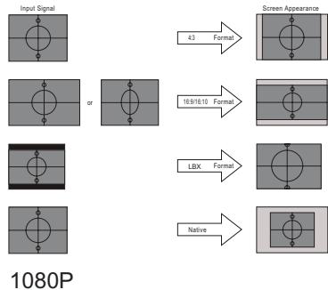 OPTOMA HD50 - Format - 2