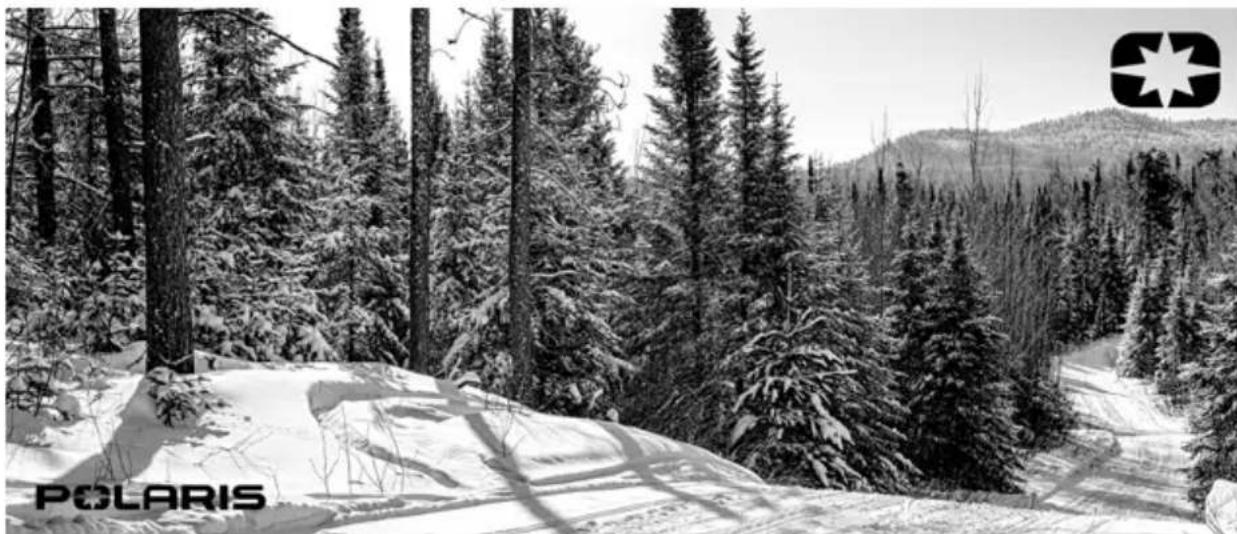 Black-and-white winter forest scene with snow-covered trees and distant hills, featuring a Polaris logo in the corner (no readable text or symbols on the main scene)