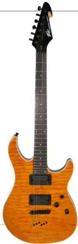 PEAVEY SC-1 - Congratulations - 2