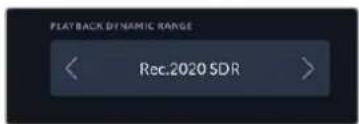 PLAYBACK DYNAMIC RANGE Rec.2020 SDR