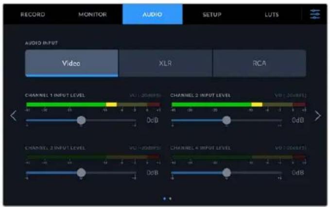 RECORD MONITOR AUDIO SETUP LUTS AUDIO INPUT Video XLR RCA CHANNEL 1 INPUT LEVEL VU (20dBPS) CHANNEL 2 INPUT LEVEL VU (20dBPS) CHANNEL 3 INPUT LEVEL VU (20dBPS) CHANNEL 4 INPUT LEVEL VU (20dBPS) DdB DdB