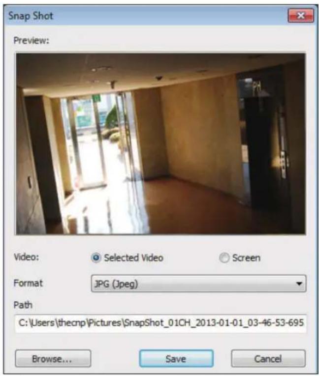 Snap Shot Preview: Video: Selected Video Screen Format JPG (Jpeg) Path C:\Users\thecnp\Pictures\SnapShot_01CH_2013-01-01_03-46-53-695 Browse... Save Cancel