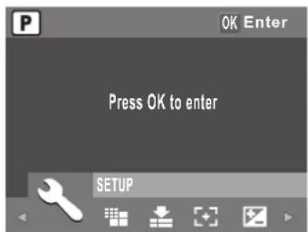 P OK Enter Press OK to enter SETUP