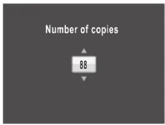 Number of copies 88