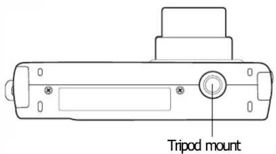 Tripod mount