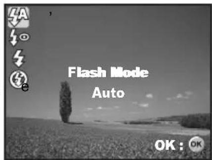 Flash Mode Auto OK : OK