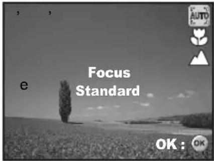 e Focus Standard OK: OK
