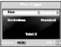 SANYO VPC-S500 - Printing images - 5