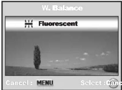 W. Balance Fluorescent Cancel : MENU Select :Oanc