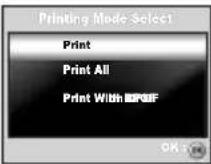 SANYO VPC-S500 - Printing images - 1