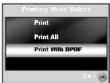 SANYO VPC-S500 - Printing images - 9