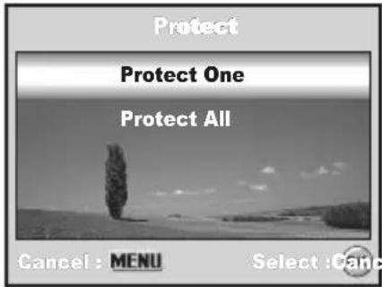 Protect Protect One Protect All Cancel : MENU Select : Canc