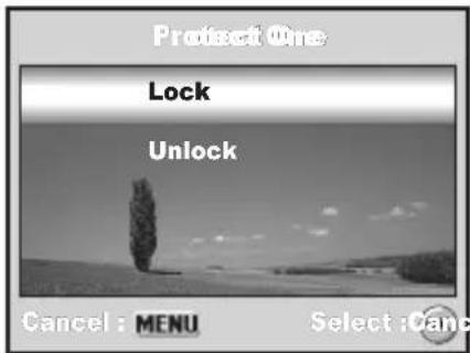 Protect One Lock Unlock Cancel : MENU Select : Cancel
