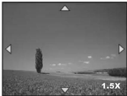 SANYO VPC-S500 - Magnifying Images - 2