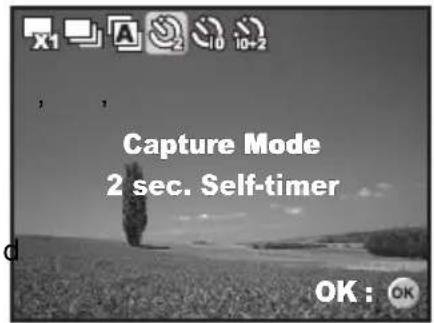 Capture Mode 2 sec. Self-timer OK: OK