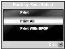 SANYO VPC-S500 - Printing images - 8