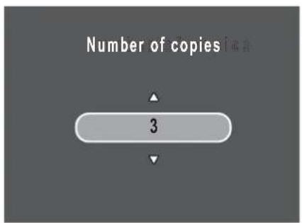 Number of copies 3