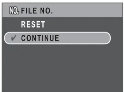 NO. FILE NO. RESET ✓ CONTINUE