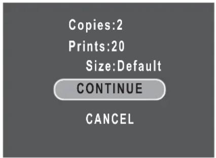 Copies:2 Prints:20 Size:Default CONTINUE CANCEL