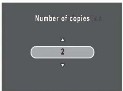 Number of copies 2