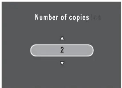 Number of copies 2