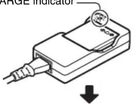 ARGE Indicator