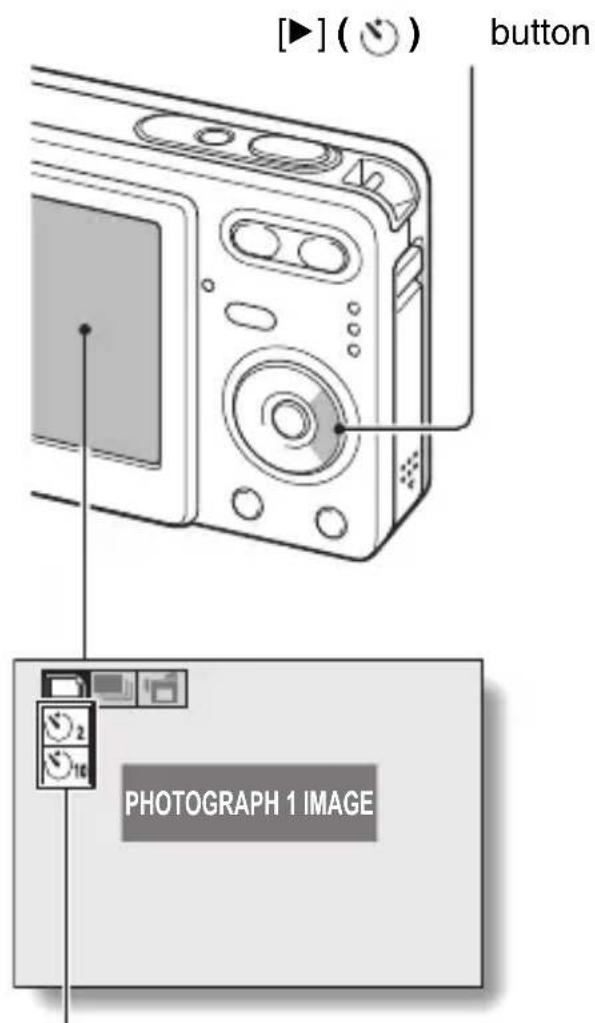 [▶] ( ⓤ ) button PHOTOGRAPH 1 IMAGE