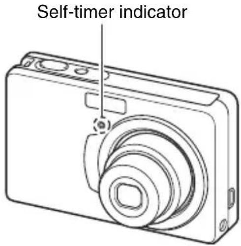 Self-timer indicator