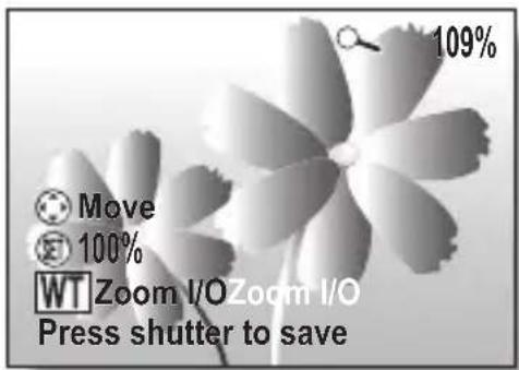 109% Move 100% WT Zoom I/O Zoom I/O Press shutter to save