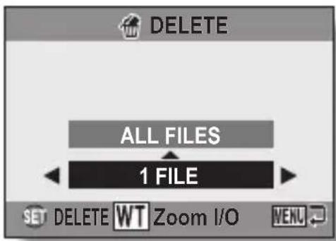 DELETE ALL FILES 1 FILE SET DELETE WT Zoom I/O VENU