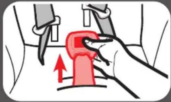 GRACO Premier SnugRide SnugFit 35 XT - To Change Buckle Position - 6