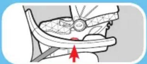 GRACO Premier SnugRide SnugFit 35 XT - Is Everything Correct? - 3