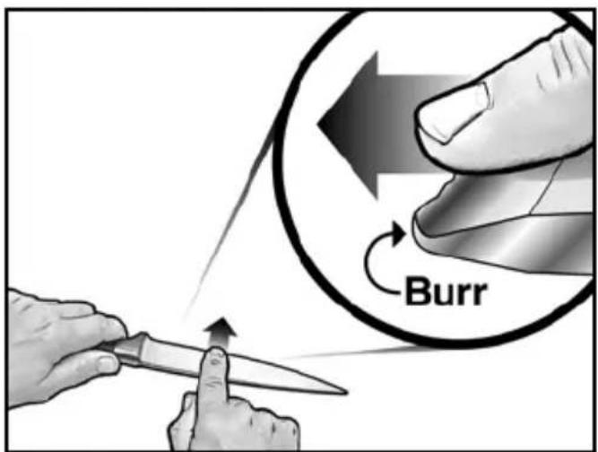Burr