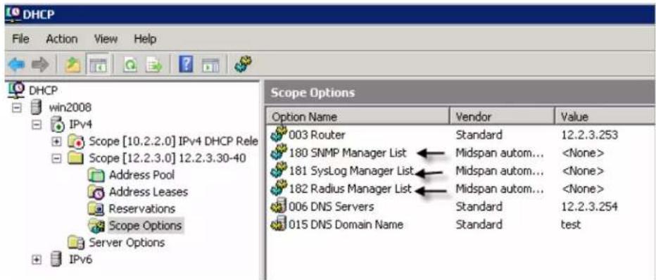 DHCP File Action View Help DHCP win2008 IPv4 Scope [10.2.2.0] IPv4 DHCP Rele Scope [12.2.3.0] 12.2.3.30-40 Address Pool Address Leases Reservations Scope Options Server Options IPv6 Scope Options Option Name Vendor Value 003 Router Standard 12.2.3.253 180 SNMP Manager List Midspan autom... 181 SysLog Manager List Midspan autom... 182 Radius Manager List Midspan autom... 006 DNS Servers Standard 12.2.3.254 015 DNS Domain Name Standard test