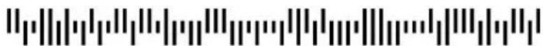 HONEYWELL Captuvo SL62 - Sample Symbols - 7